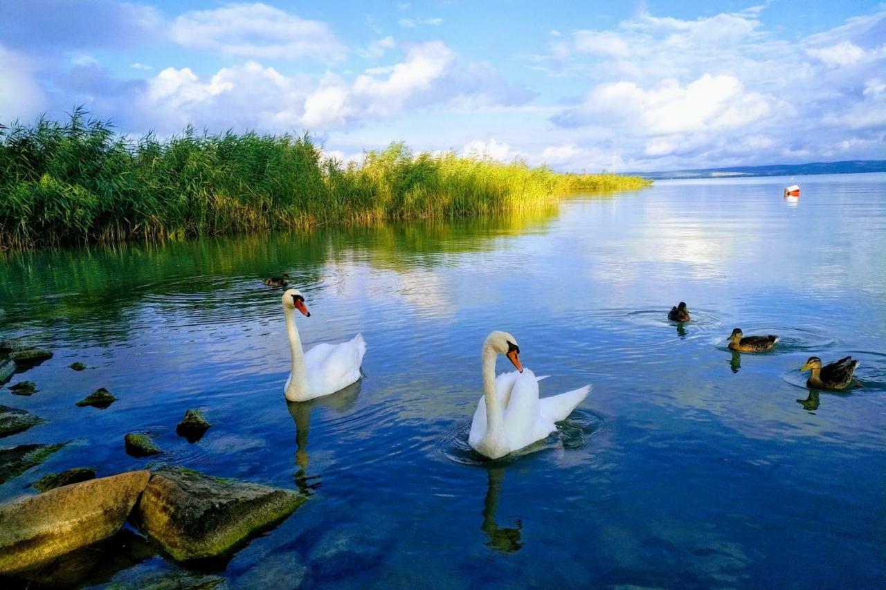 Foevenyes House Βίλα Balatonudvari Εξωτερικό φωτογραφία
